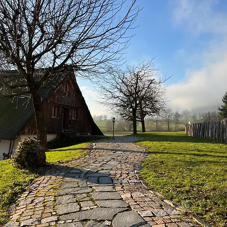 Schwarzwald Muehle Mit Sonnenlage, Natur, Wanderwege فِشرباخ