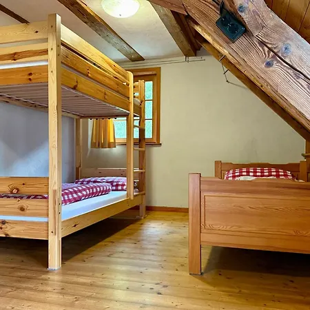 Schwarzwald Muehle Mit Sonnenlage, Natur, Wanderwege Σπίτι διακοπών