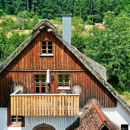 Schwarzwald Muehle Mit Sonnenlage, Natur, Wanderwege Σπίτι διακοπών *